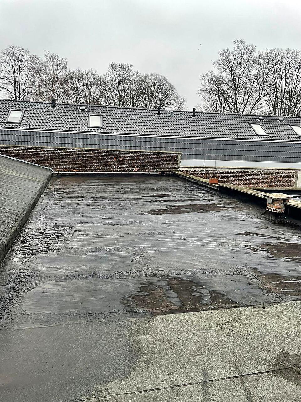 Toiture plate à Ixelles avant travaux : membrane fissurée et gorgée d'eau
